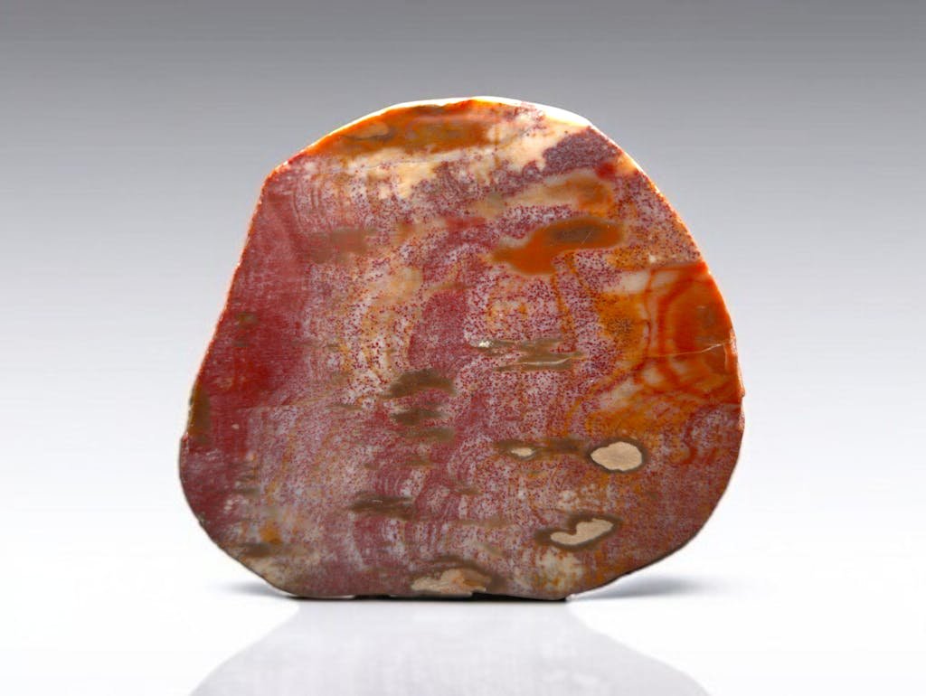 A polished jasper stone showcasing vibrant patterns and colors, photographed in Tucson, Arizona.