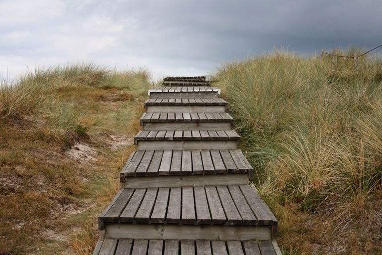 A scenic wooden pathway leads through grassy dunes under a moody sky on Sylt Island, Germany.