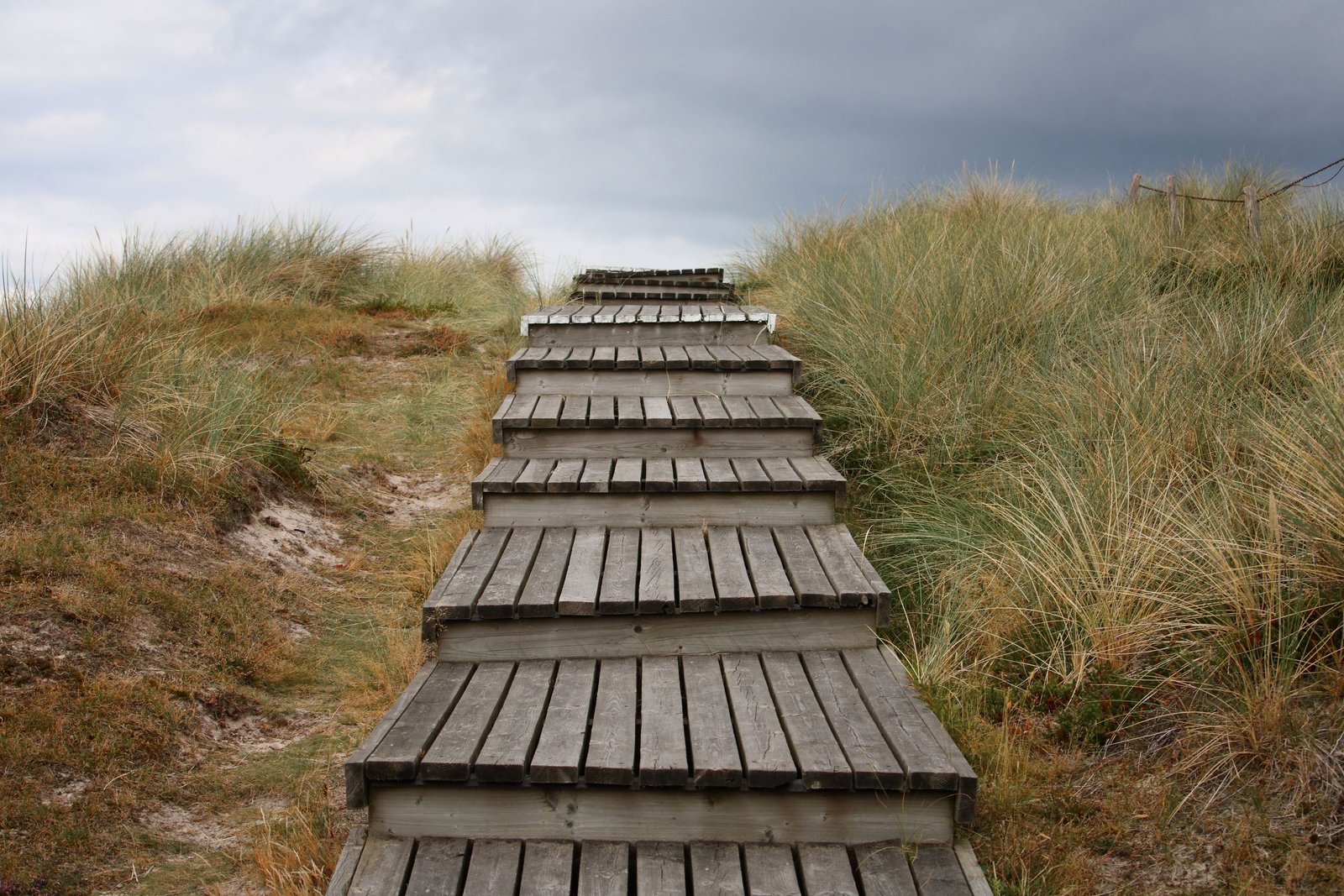 A scenic wooden pathway leads through grassy dunes under a moody sky on Sylt Island, Germany.